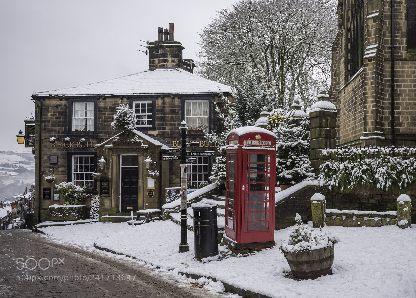 Nikon D7200 sample photo. The black bull at photography