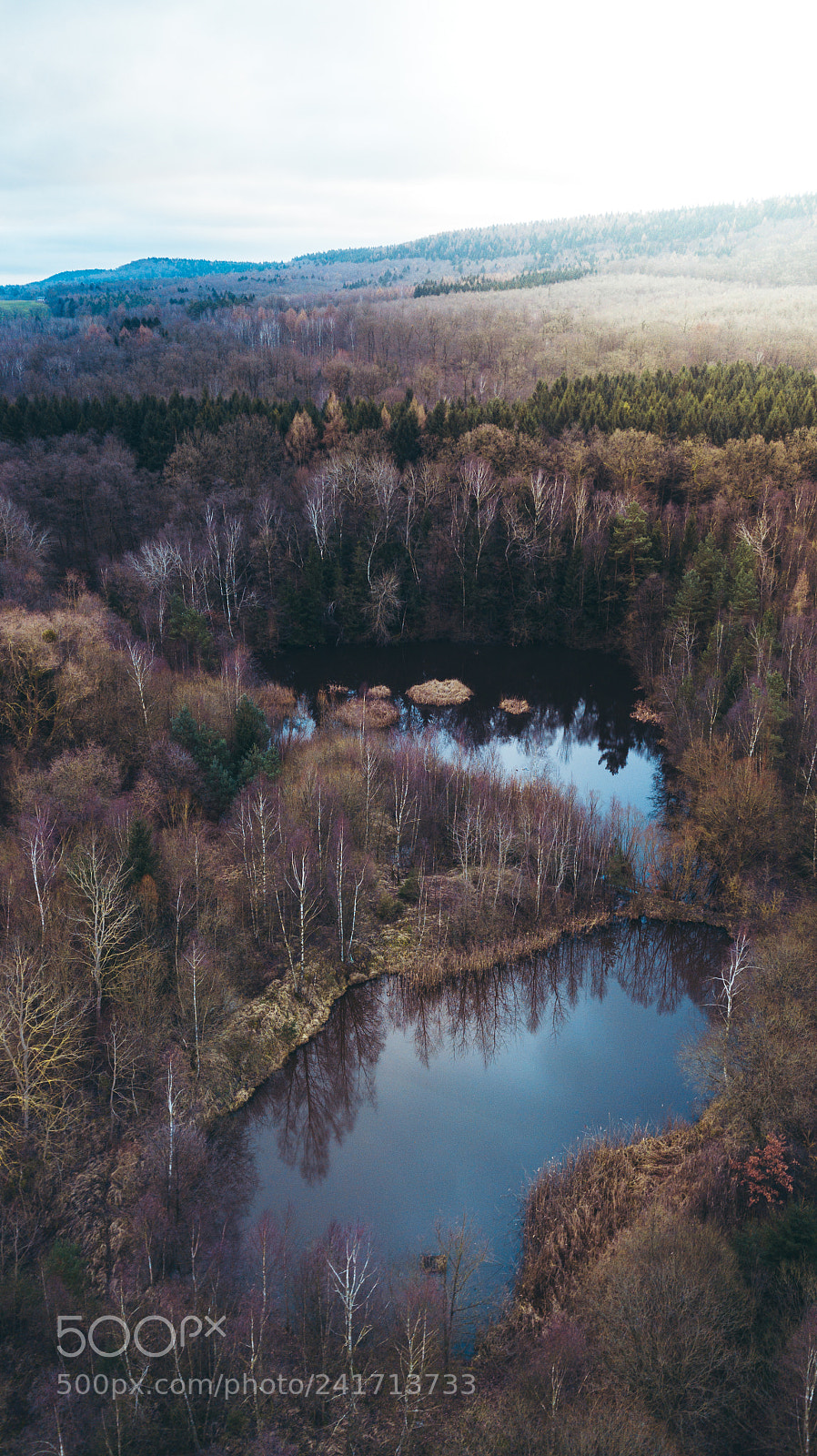 DJI FC220 sample photo. Über den wolken photography
