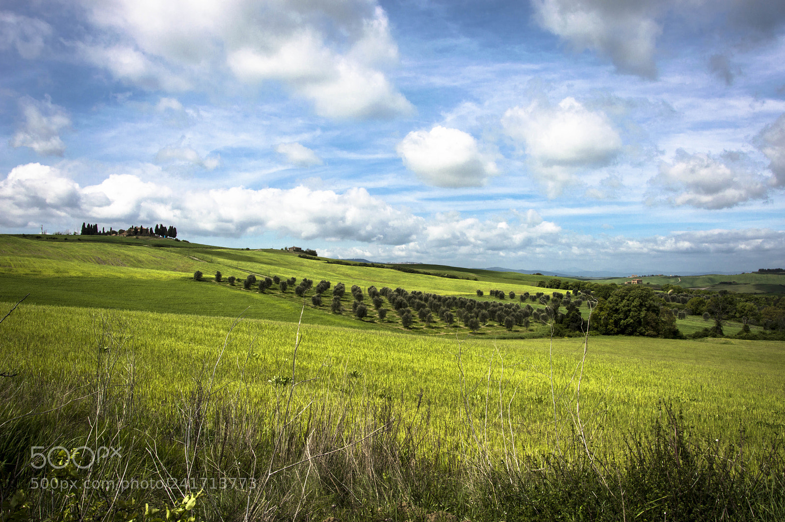 Nikon D3200 sample photo. Clouds photography