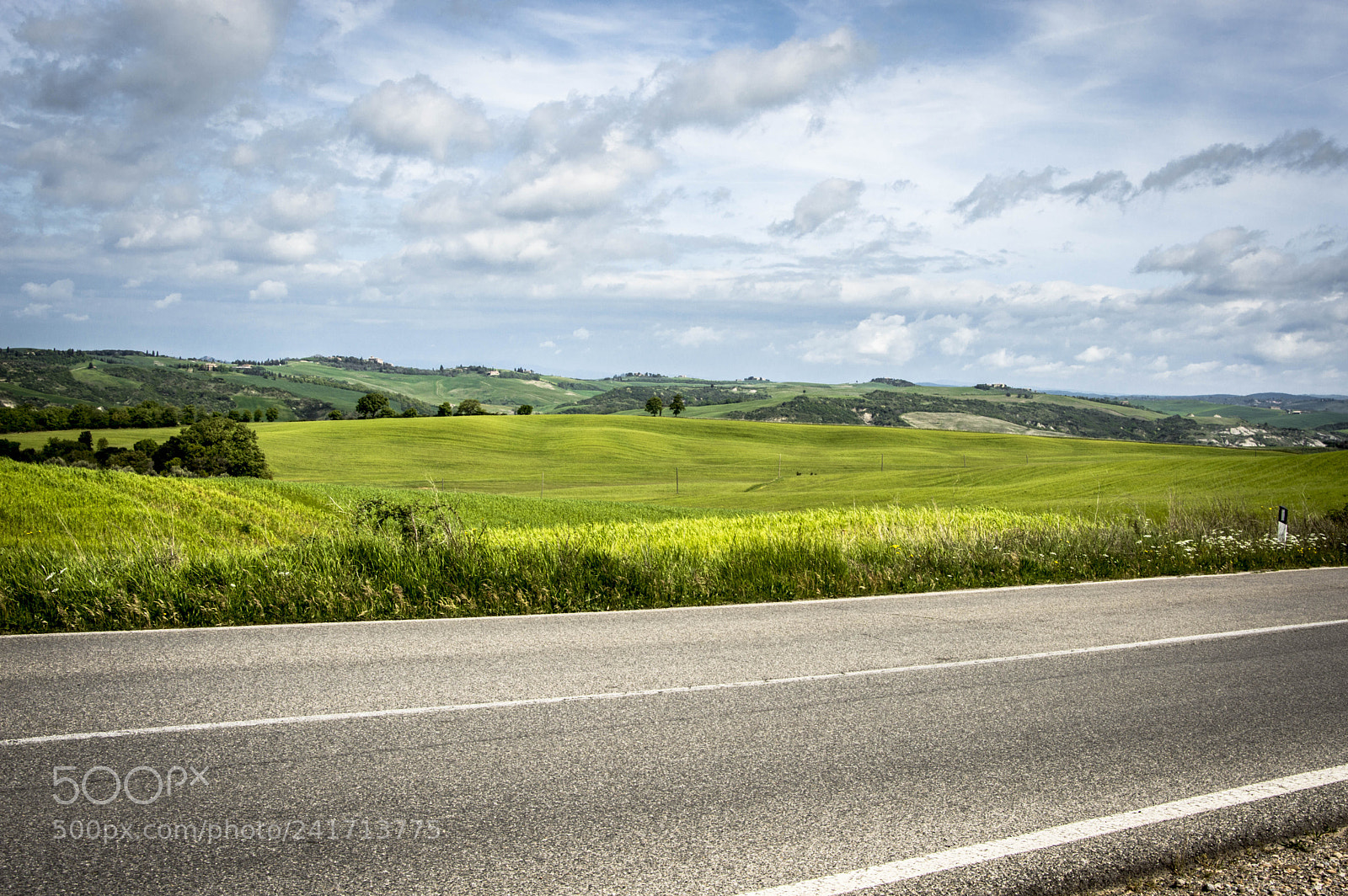 Nikon D3200 sample photo. Along the road photography