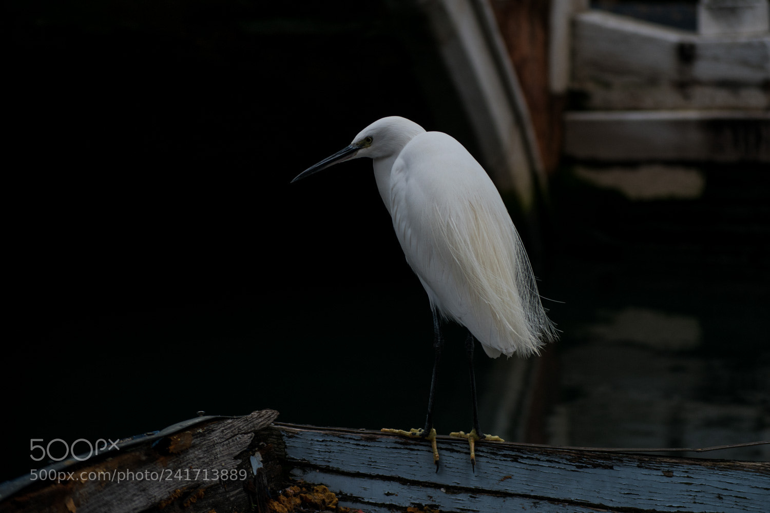 Nikon D5500 sample photo. Incontri a venezia photography