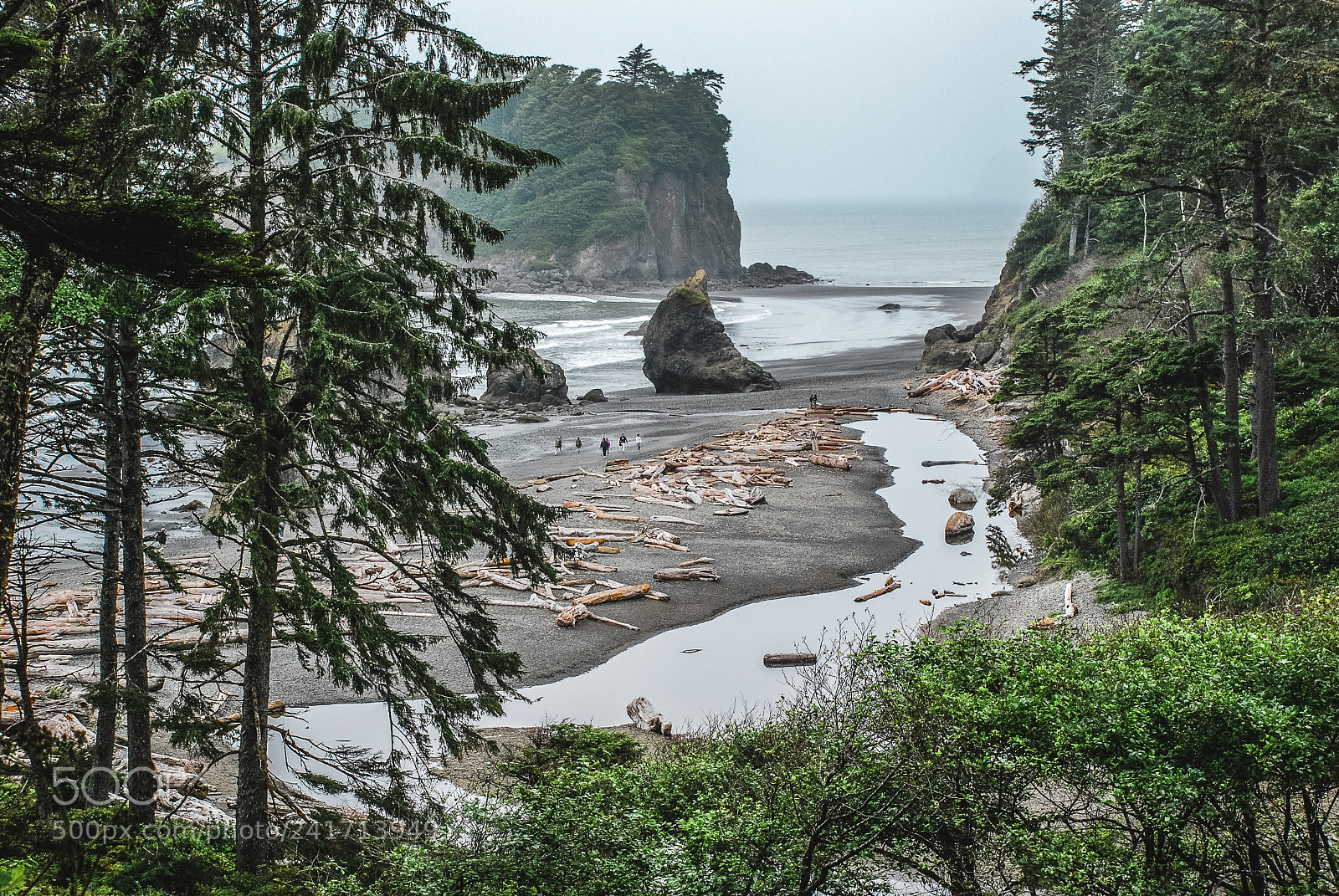 Nikon D80 sample photo. Canon beach photography