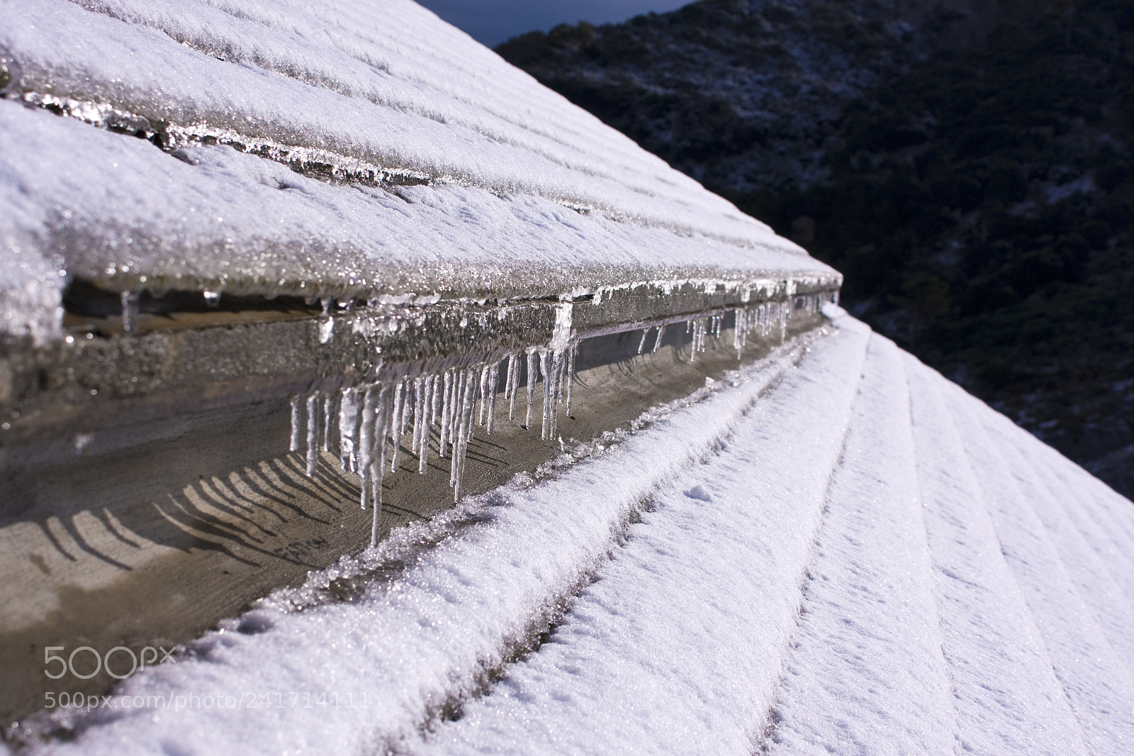 Canon EOS 40D sample photo. Frozen roof photography
