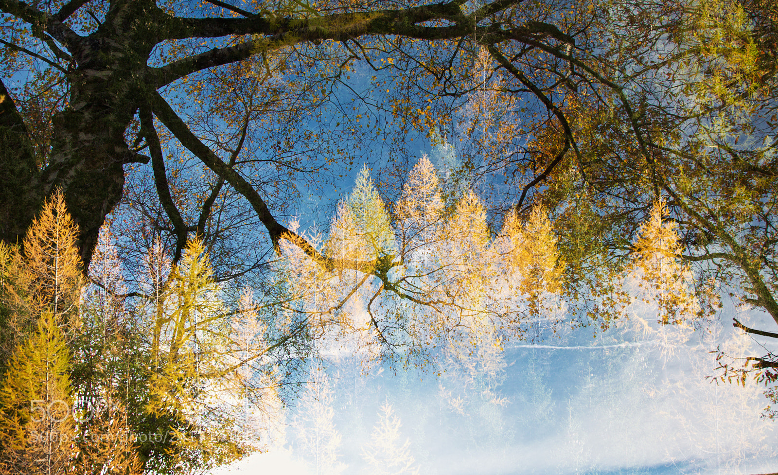 Nikon D7200 sample photo. Magie d'autunno photography