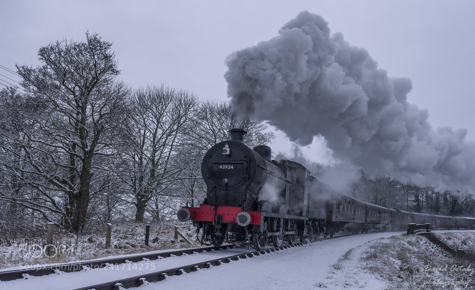 Nikon D7200 sample photo. 43924 in the snow photography