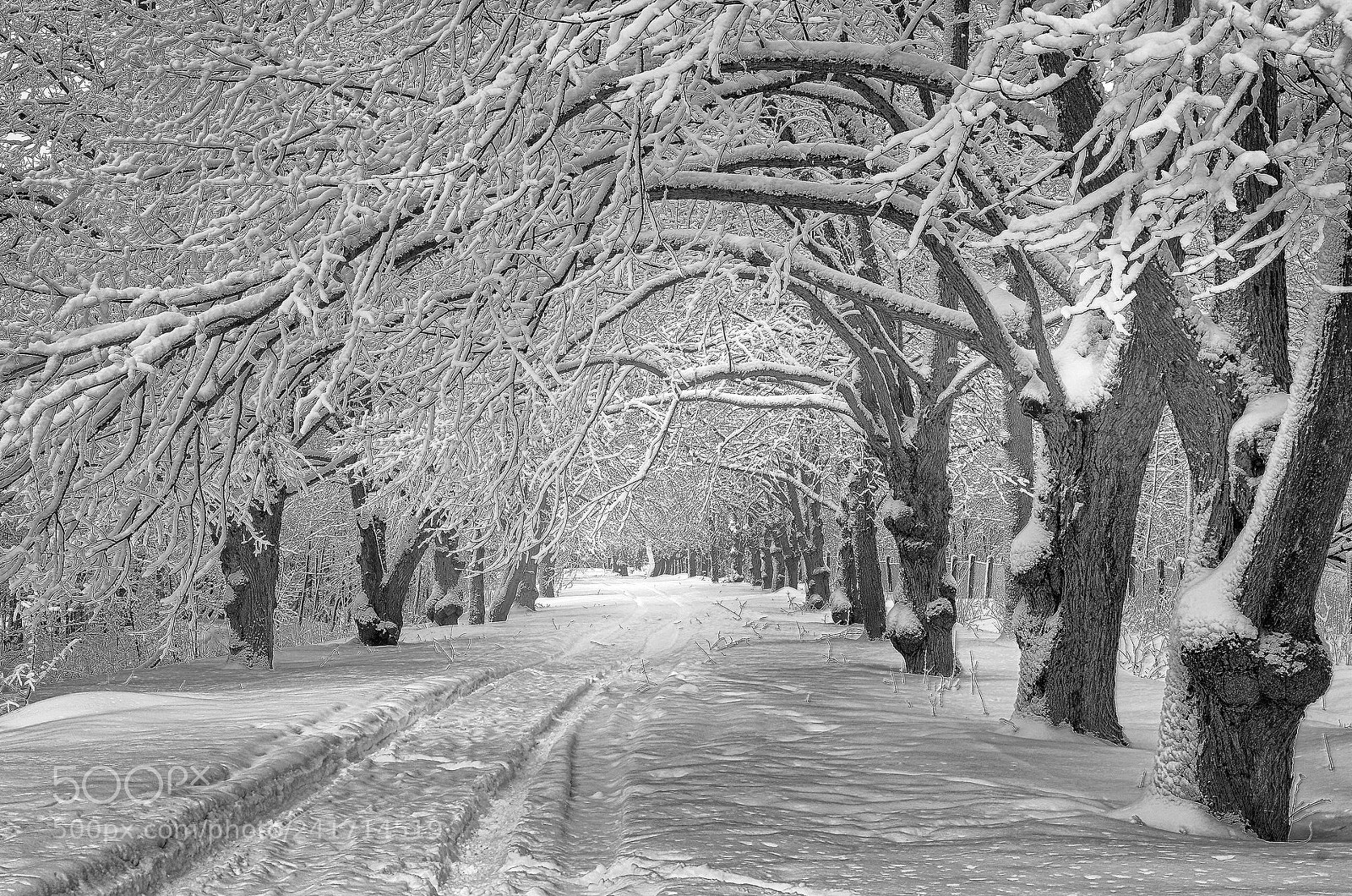 Pentax K-5 sample photo. Snowy winter.. _2_ photography