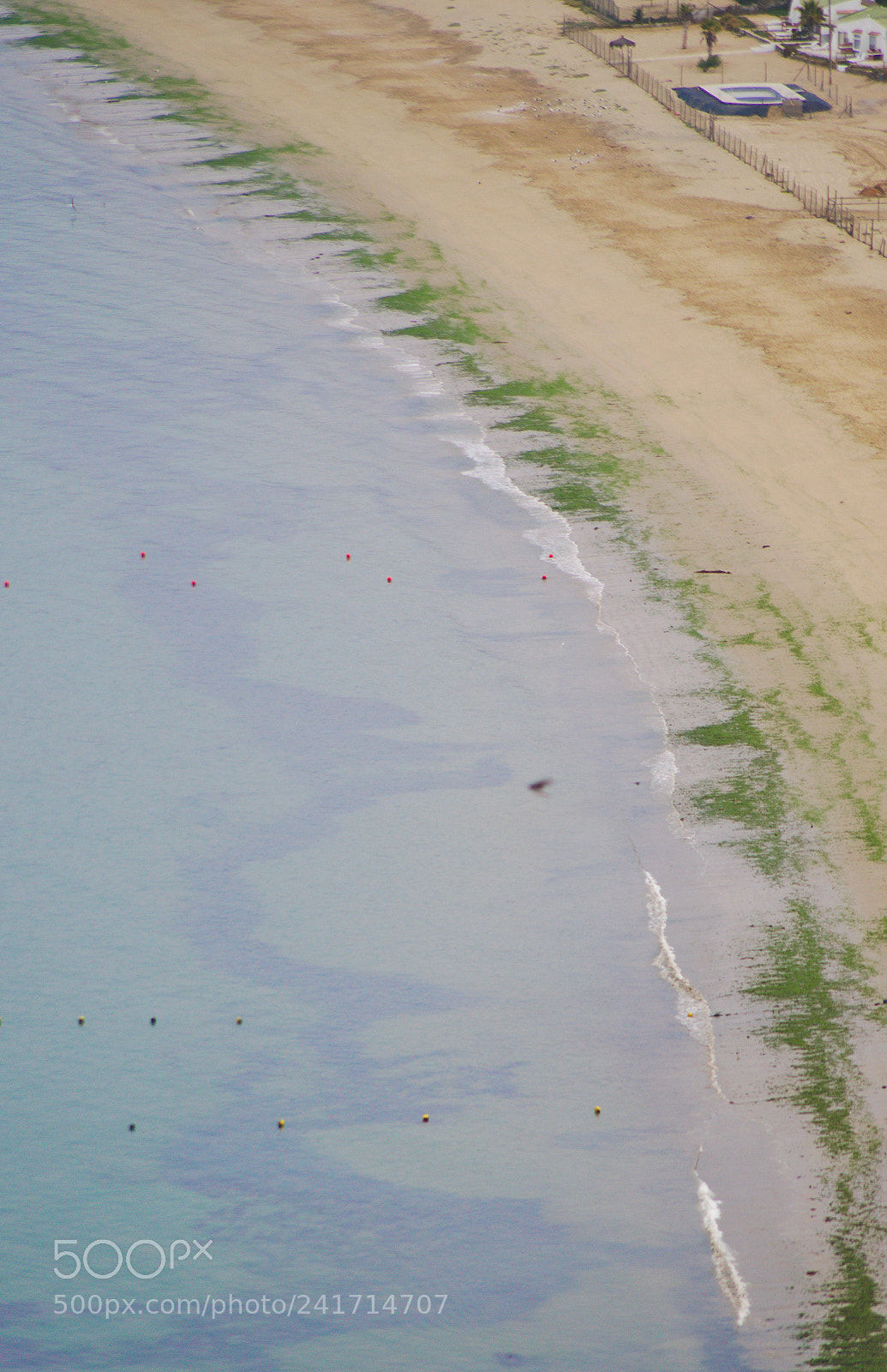 Sony SLT-A58 sample photo. Beach curve photography