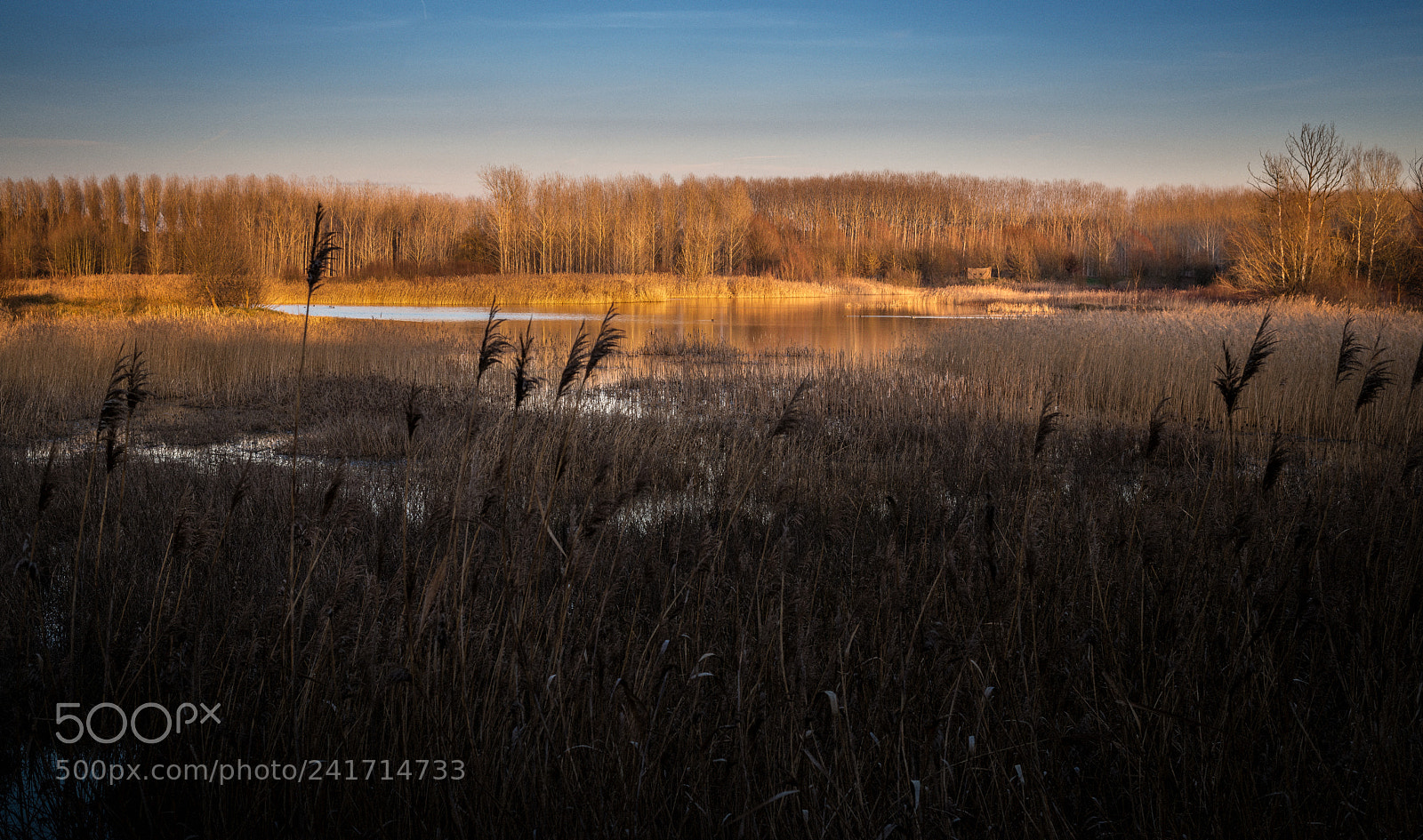 Nikon D800 sample photo. Estanys de sils photography