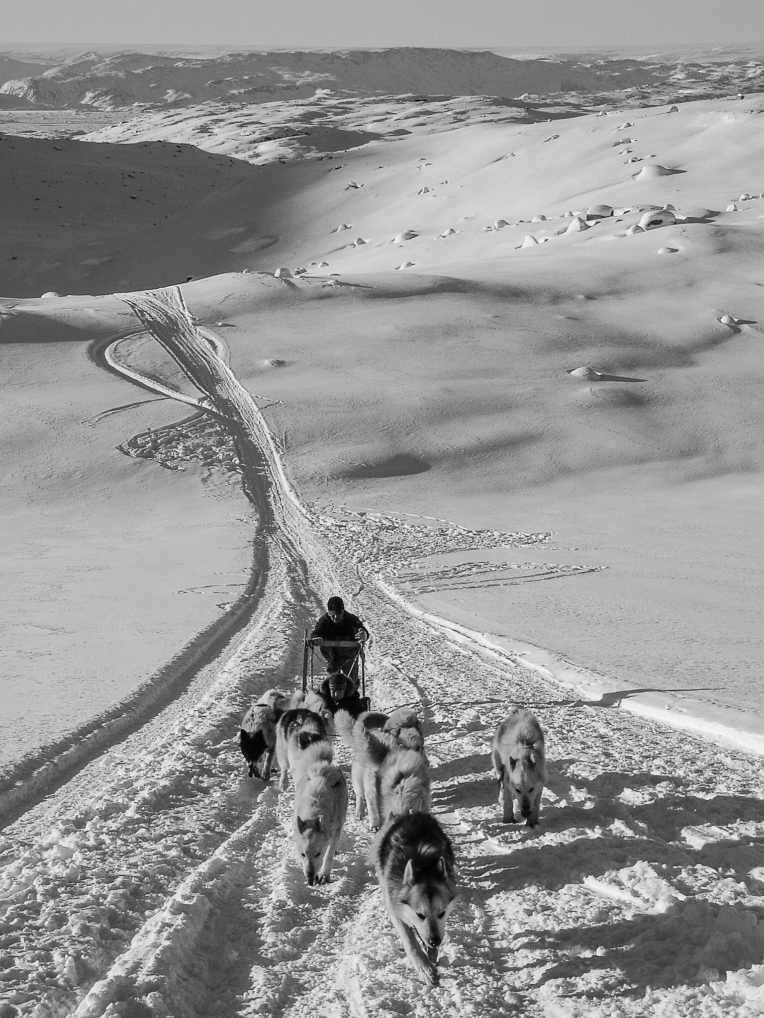 Sony DSC-V3 sample photo. Dogsled in eastgreenland photography