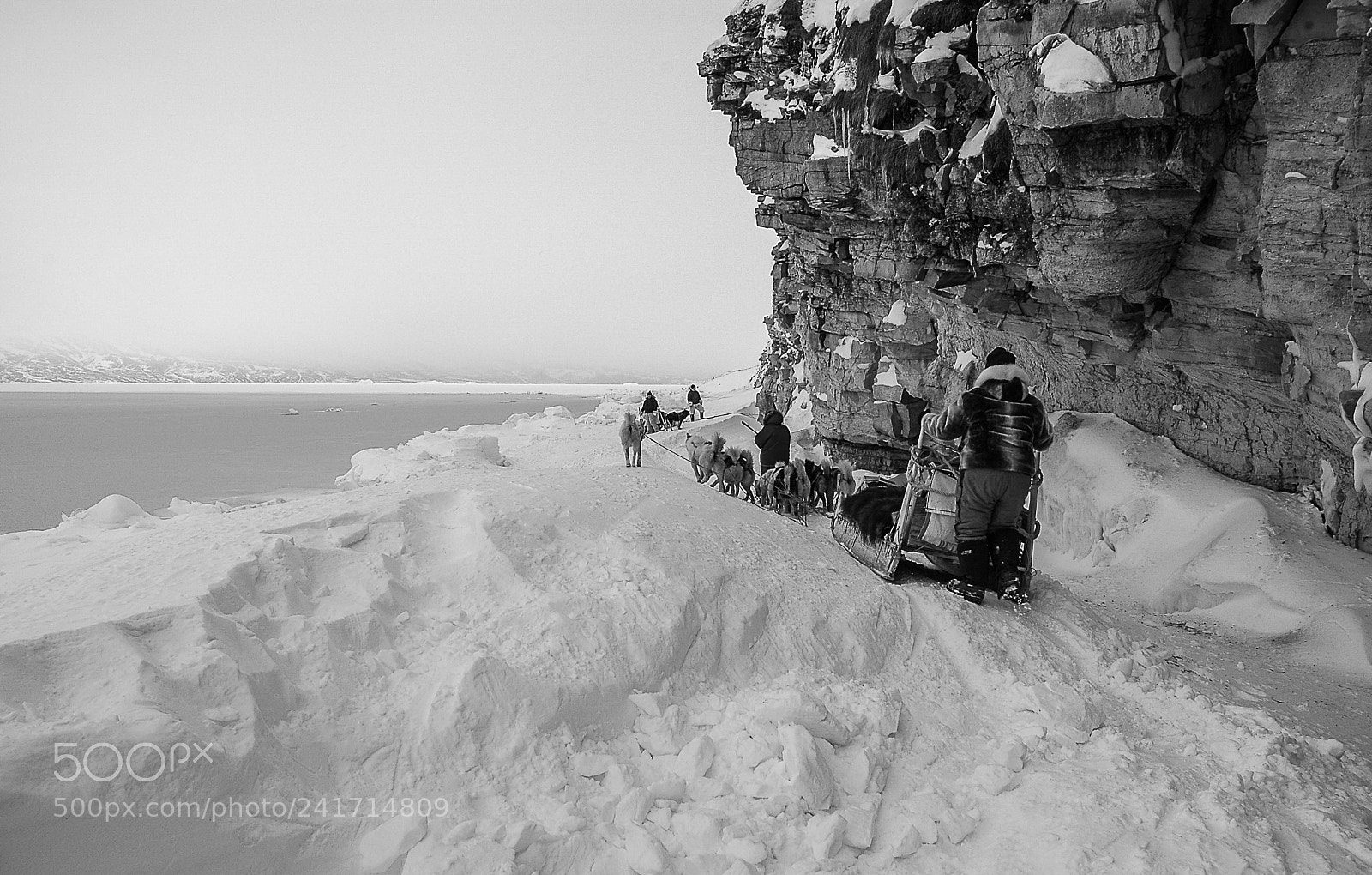 Nikon D70 sample photo. Dogsingreenland photography