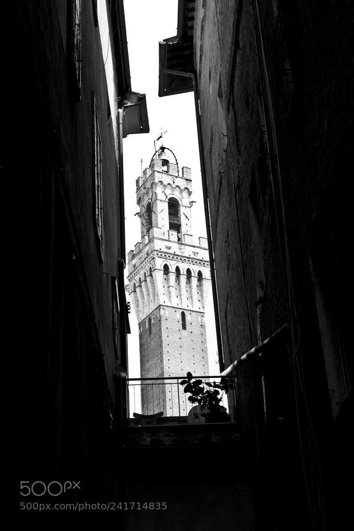 Canon EOS 40D sample photo. Siena photography