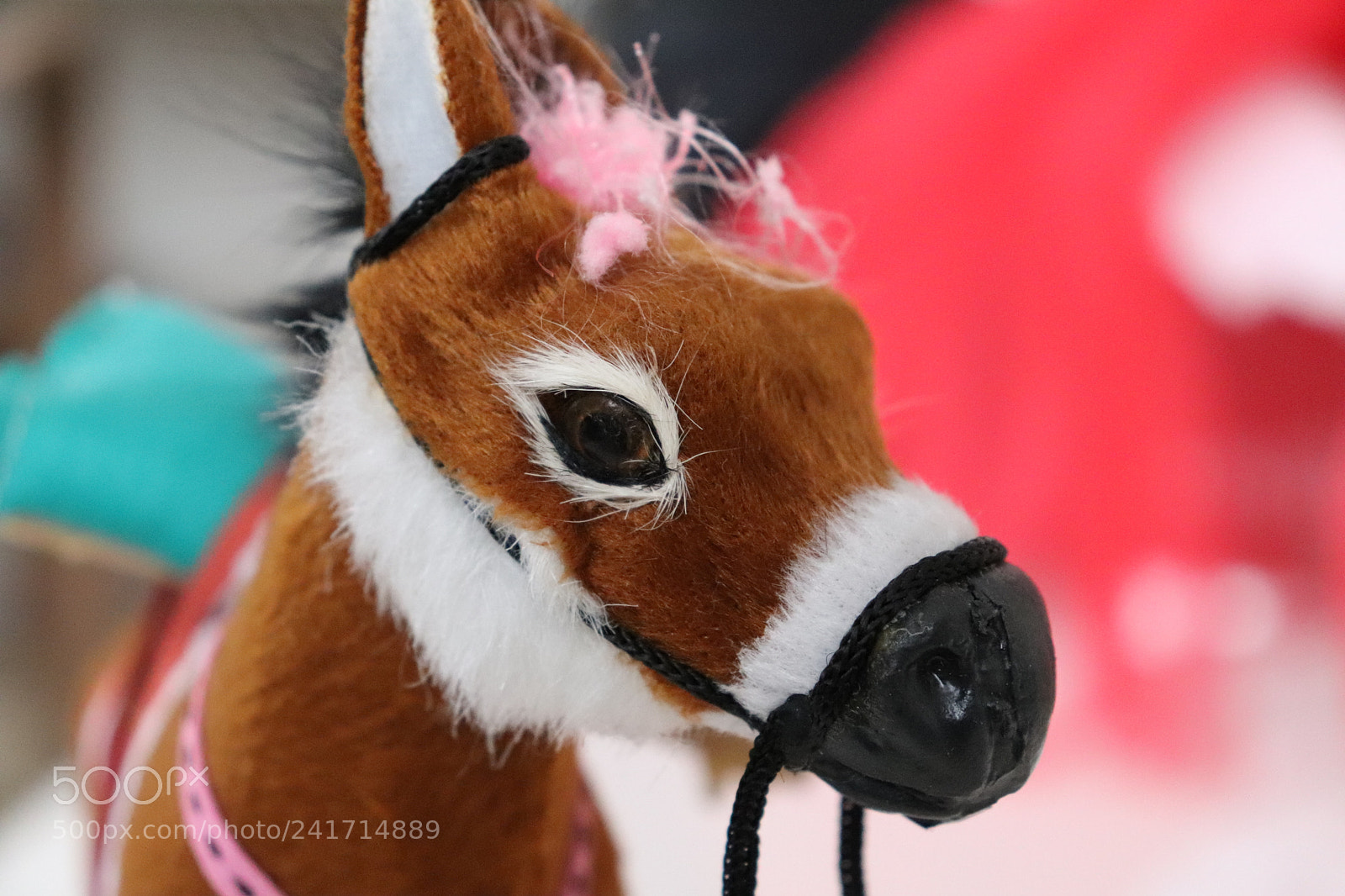 Canon EOS 200D (EOS Rebel SL2 / EOS Kiss X9) sample photo. Maket donkey photography