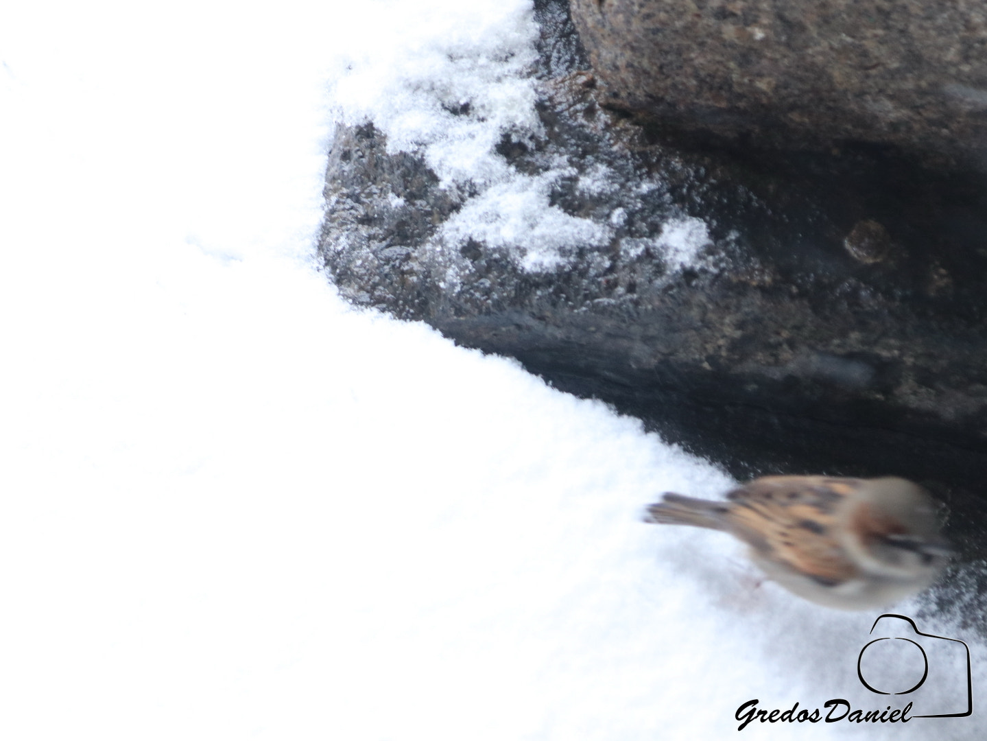 Canon EOS 80D + Canon EF 24-105mm F4L IS USM sample photo. Temopral de nieve en Ávila, enero de 2018 photography