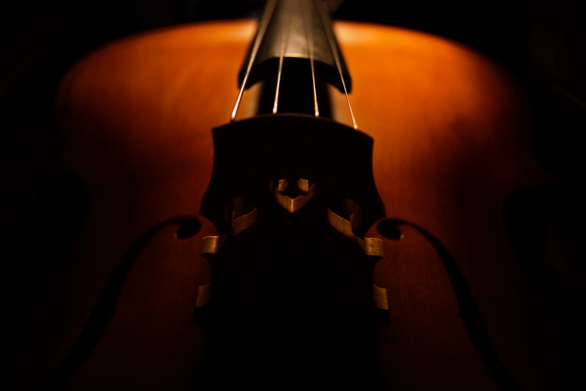 Sony DT 30mm F2.8 Macro SAM sample photo. Cello symmetry photography