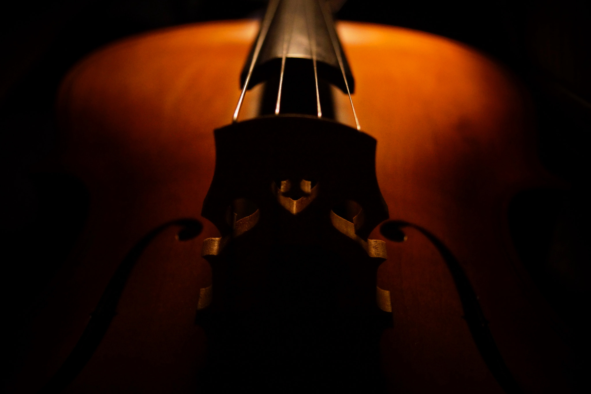 Sony Alpha NEX-7 + Sony DT 30mm F2.8 Macro SAM sample photo. Cello symmetry photography