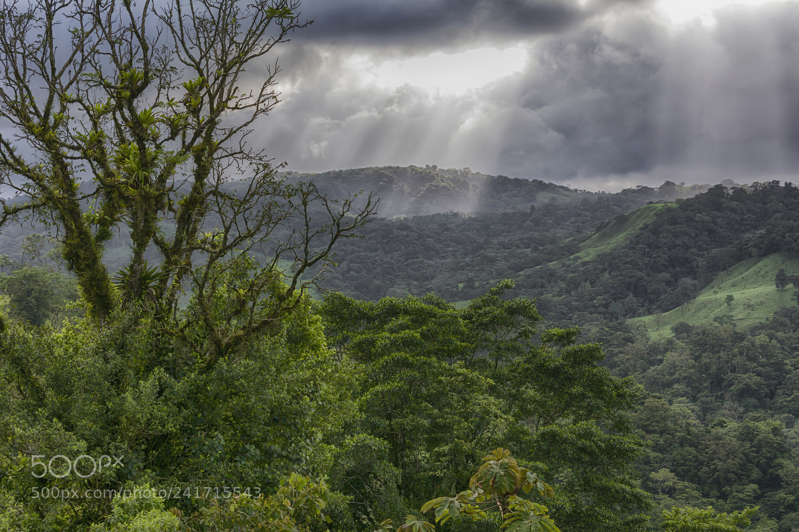 Nikon D7100 sample photo. Costa rica photography