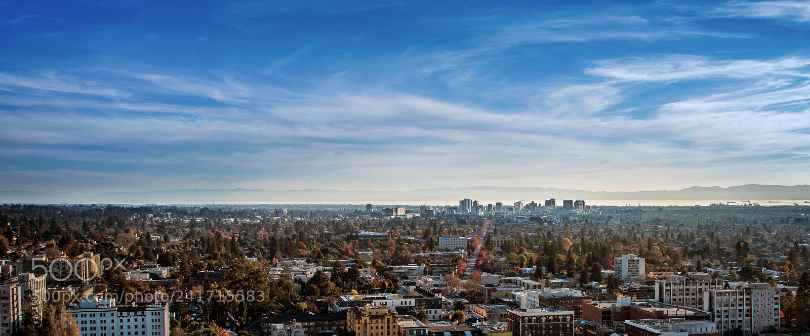 Nikon D810 sample photo. Oakland photography