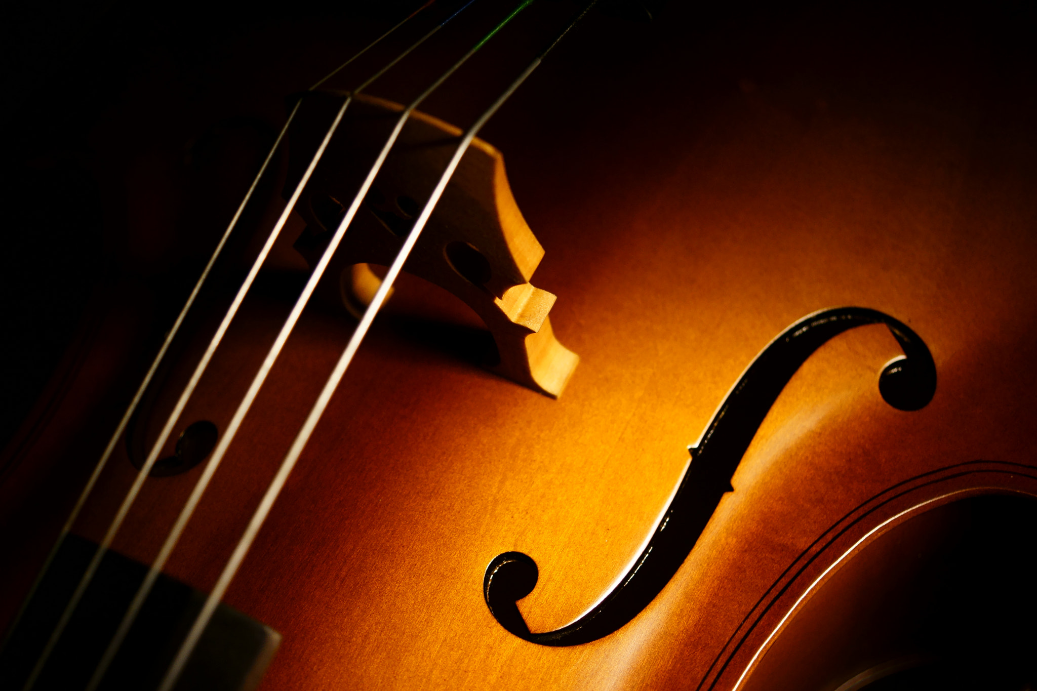 Sony Alpha NEX-7 sample photo. Cello harmony photography