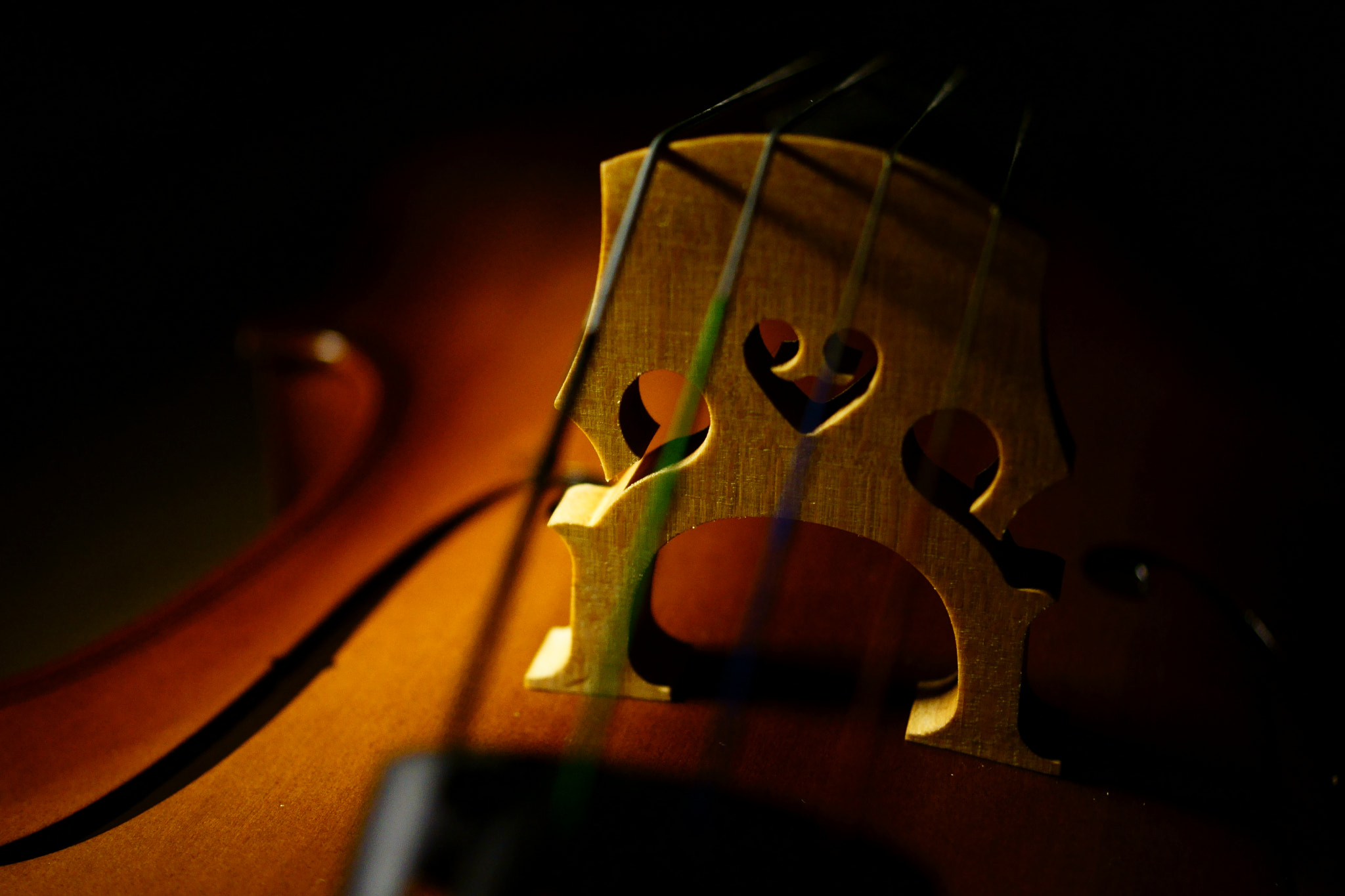 Sony DT 30mm F2.8 Macro SAM sample photo. Cello heart photography