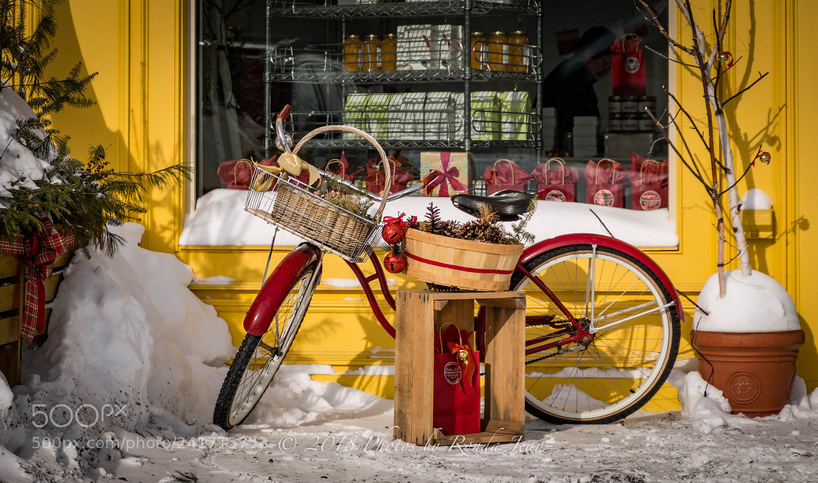 Nikon D500 sample photo. Frozen in vt photography