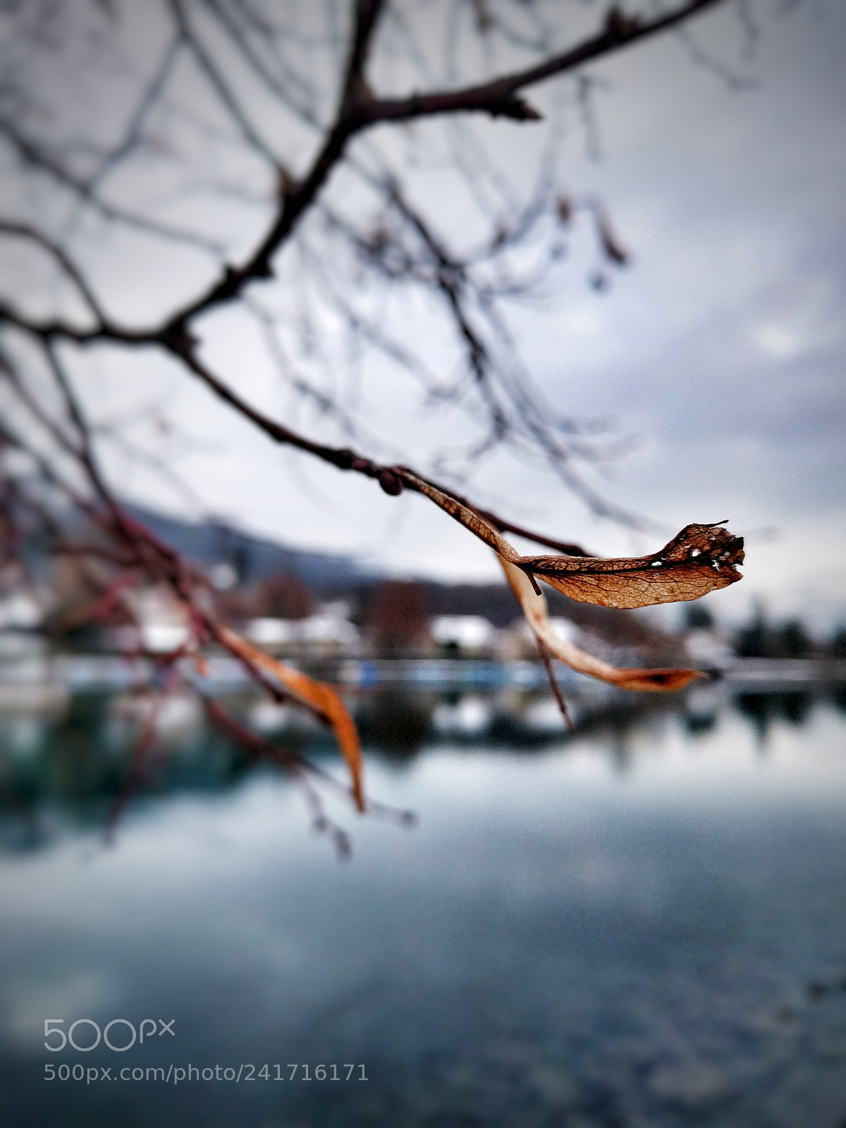 LG Nexus 5X sample photo. It's frozen photography
