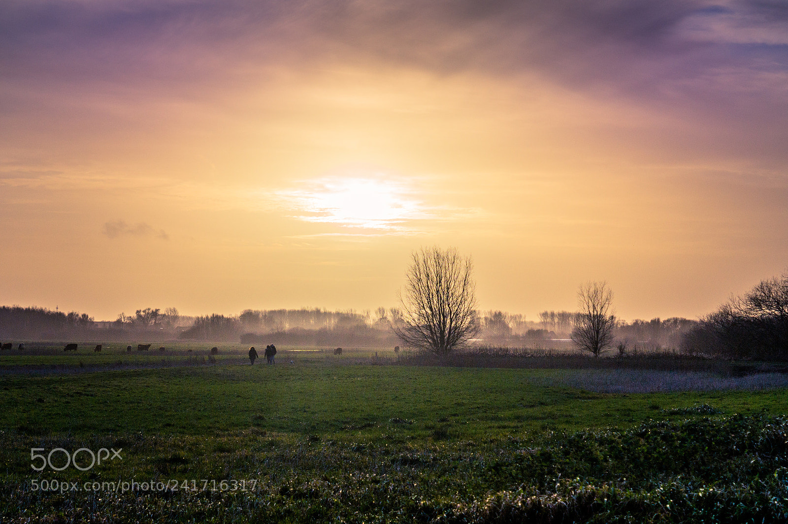 Sony SLT-A58 sample photo. Meadow at sundown photography