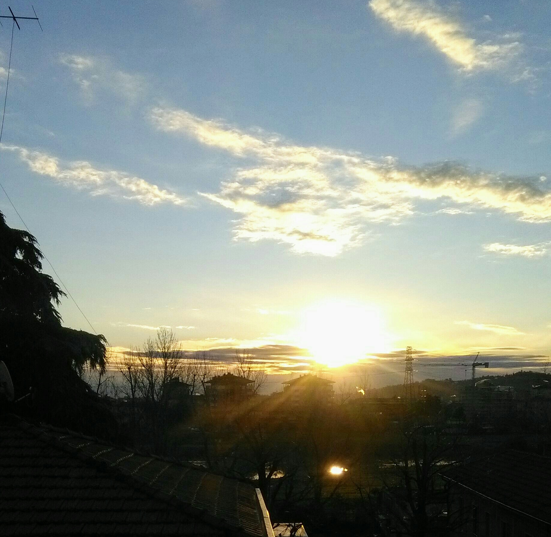 HUAWEI Y6 sample photo. Alba photography