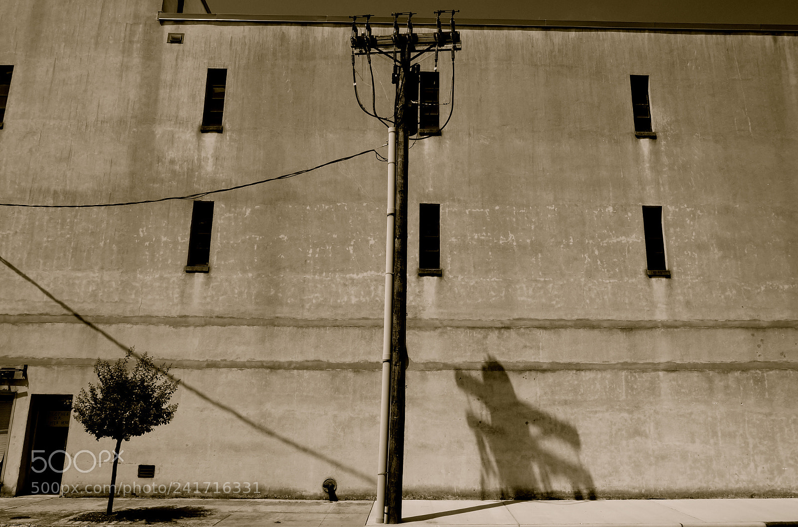 Sony Alpha NEX-3N sample photo. In the shadow of photography