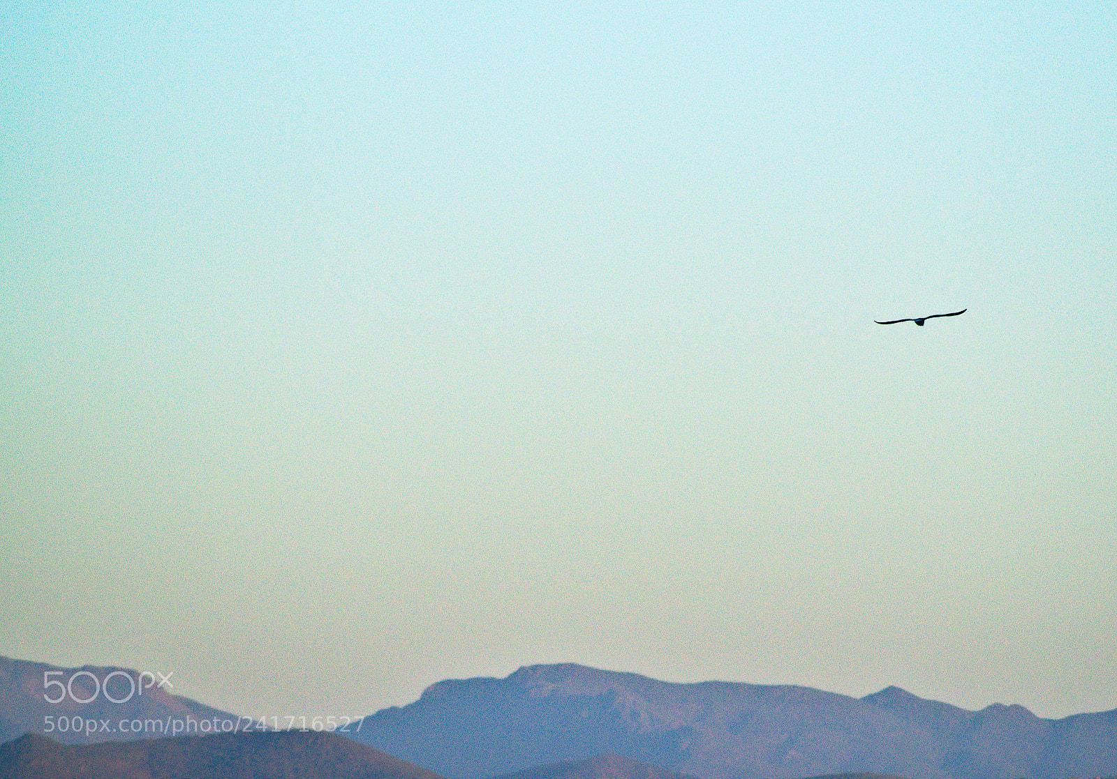 Sony DT 55-200mm F4-5.6 SAM sample photo. A clean sky photography
