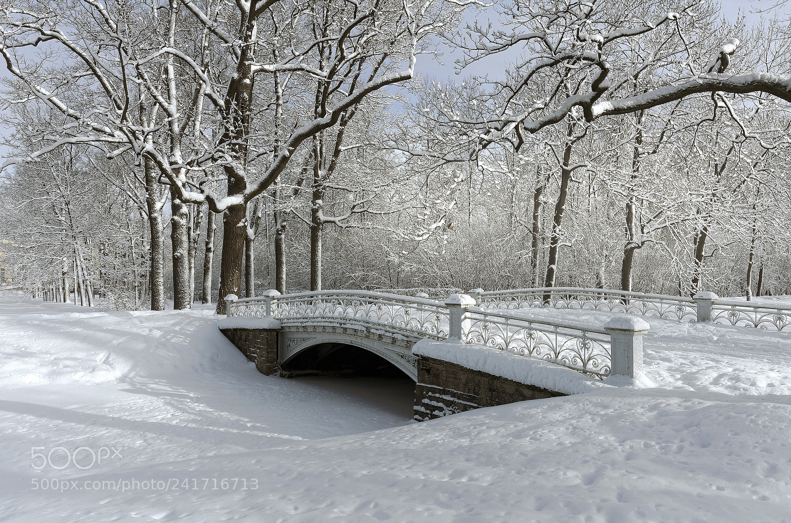 Pentax K-5 sample photo. Snowy winter.. _3_ photography
