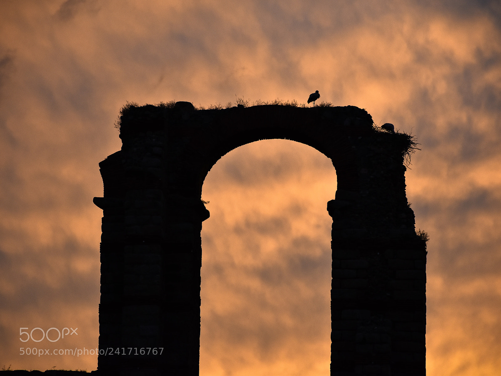 Nikon D5600 sample photo. Atardecer en mérida photography