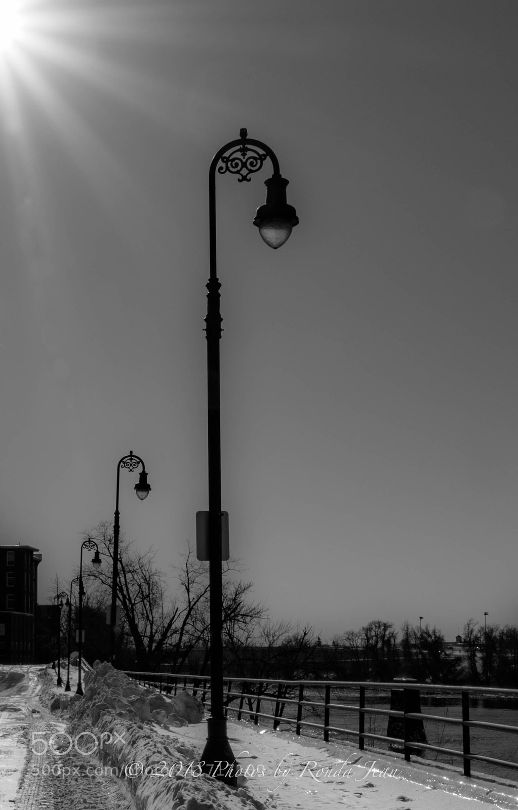Nikon D500 sample photo. Untitled photography