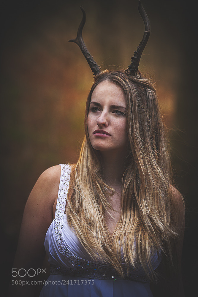 Canon EOS-1Ds Mark III sample photo. Lady wood photography