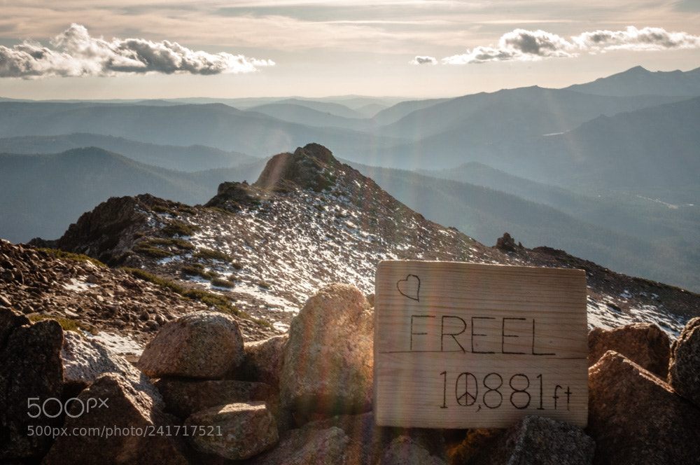 Nikon D90 sample photo. Untitled photography