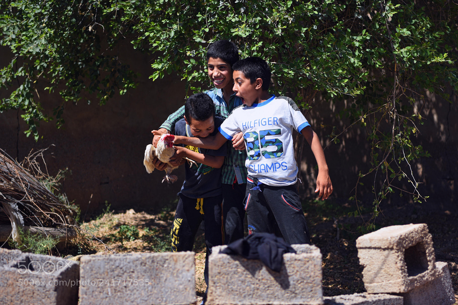 Nikon D810 sample photo. Iran,khozestan photography