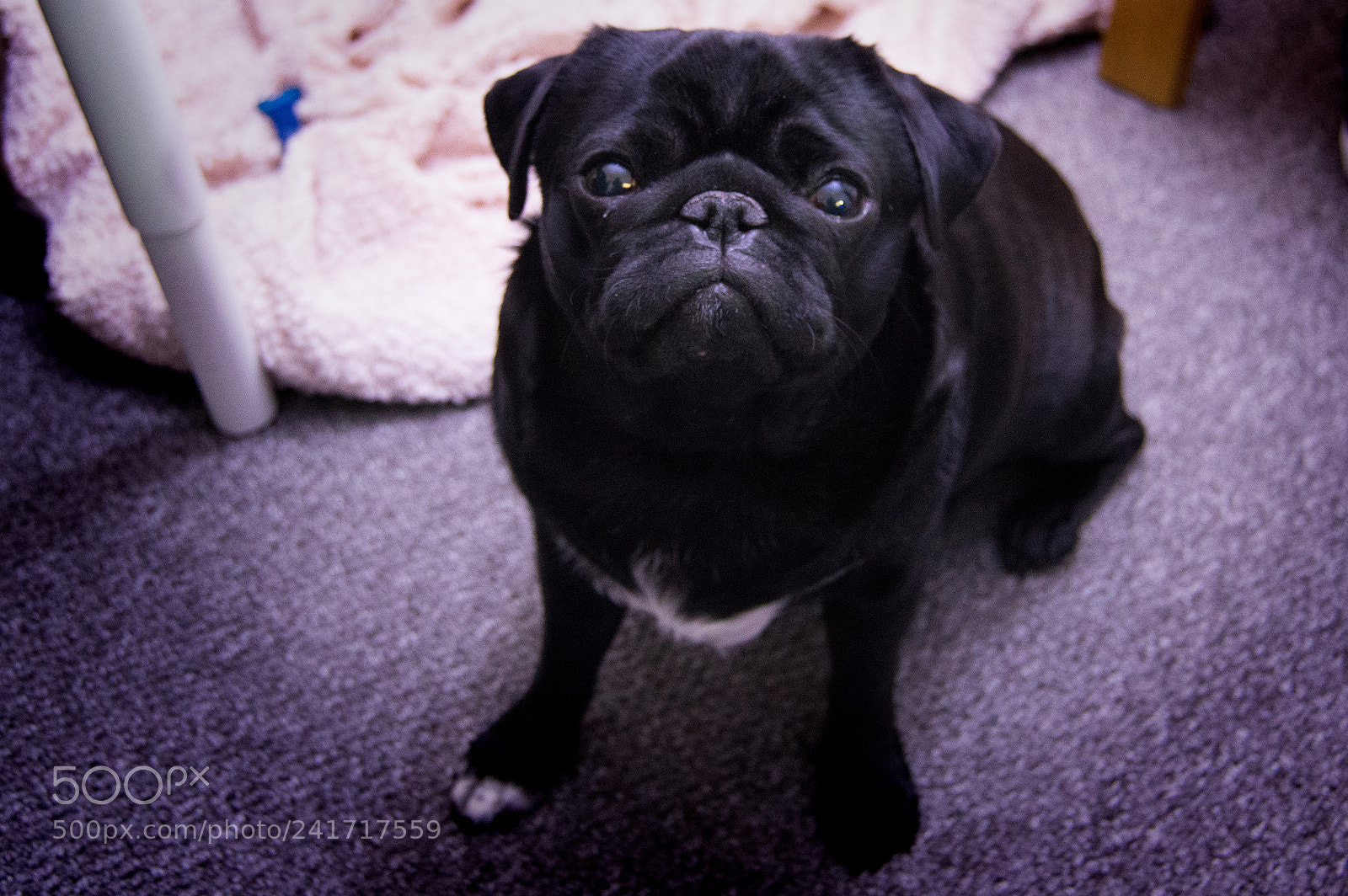 Nikon D3200 sample photo. Hello photography