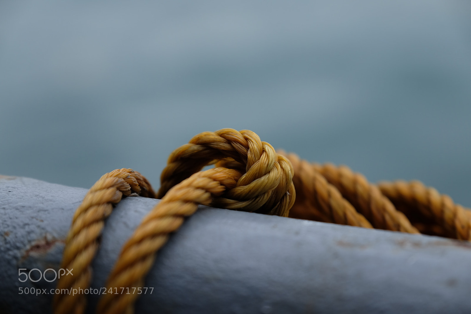 Fujifilm X-T1 sample photo. Untitled photography