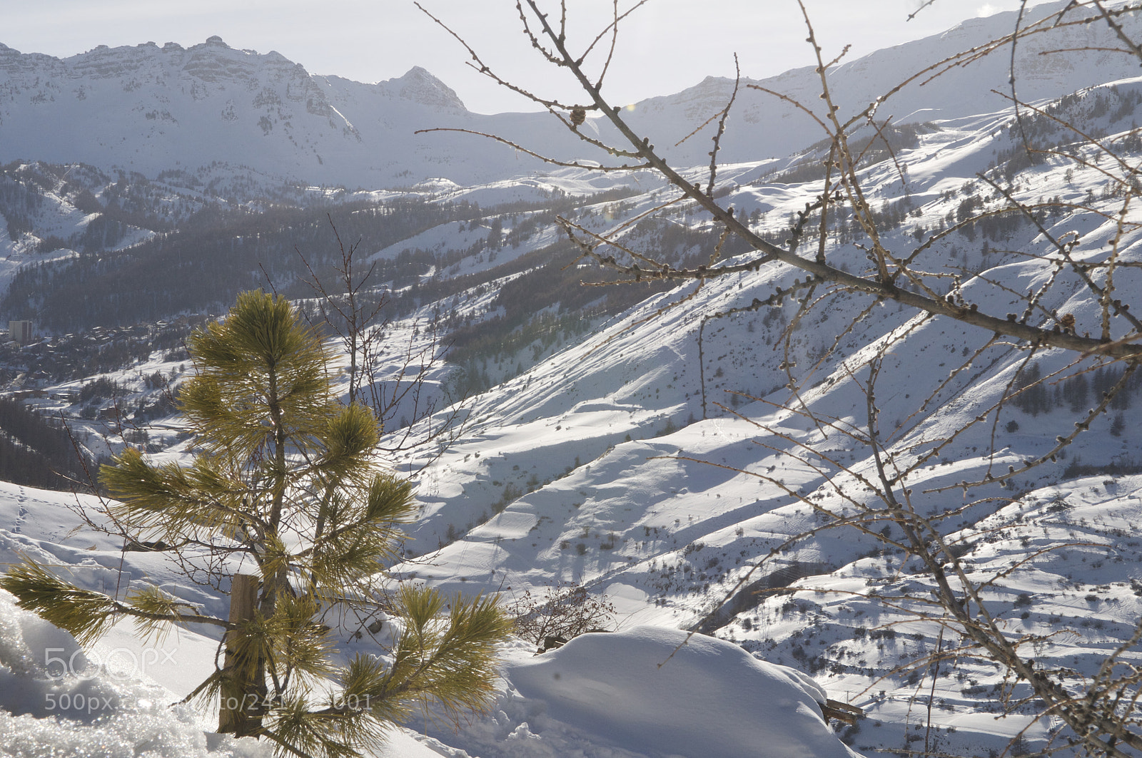 Nikon D300S sample photo. Vars, alpes de haute photography