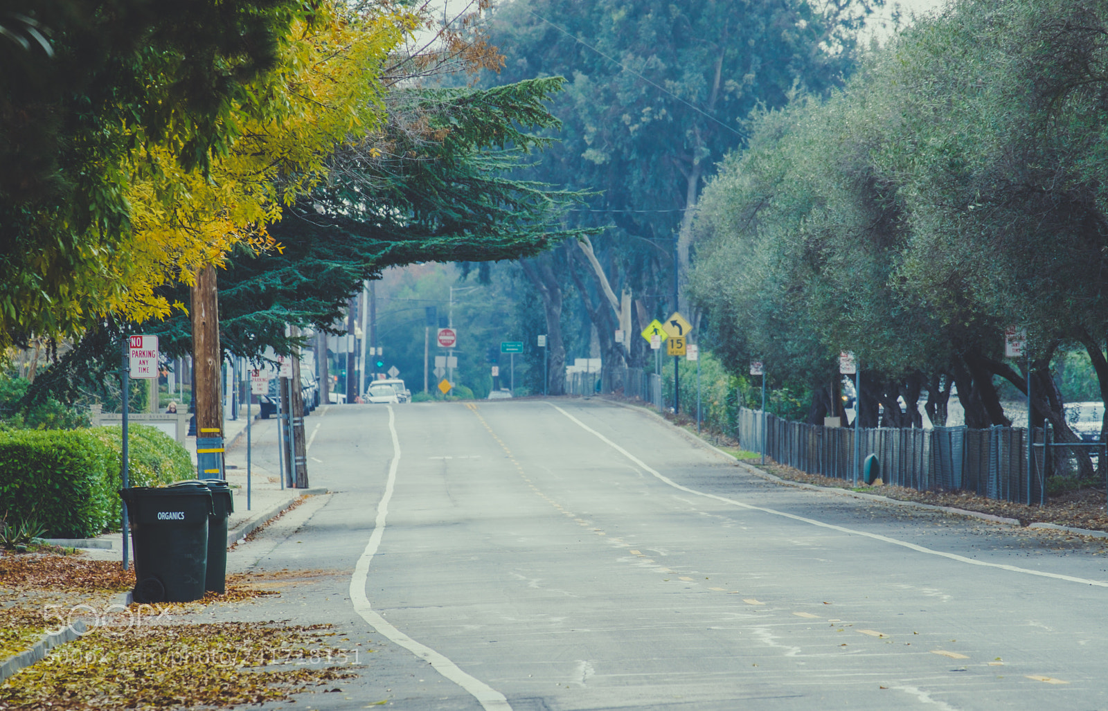 Fujifilm X-T20 sample photo. Fall in los altos photography