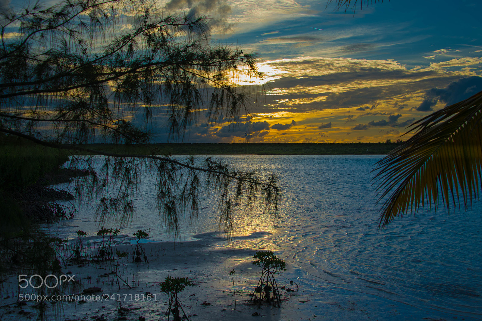 Nikon D850 sample photo. Late afternoon in the photography