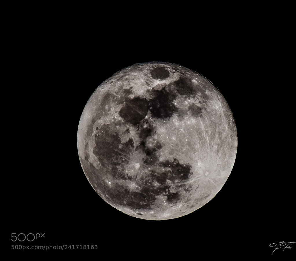 Nikon D5600 sample photo. Supermoon as seen through photography