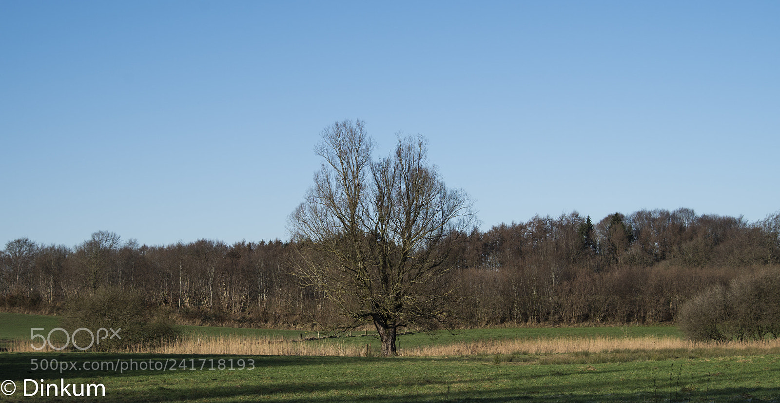Pentax K-50 sample photo. Winterlandschaft photography