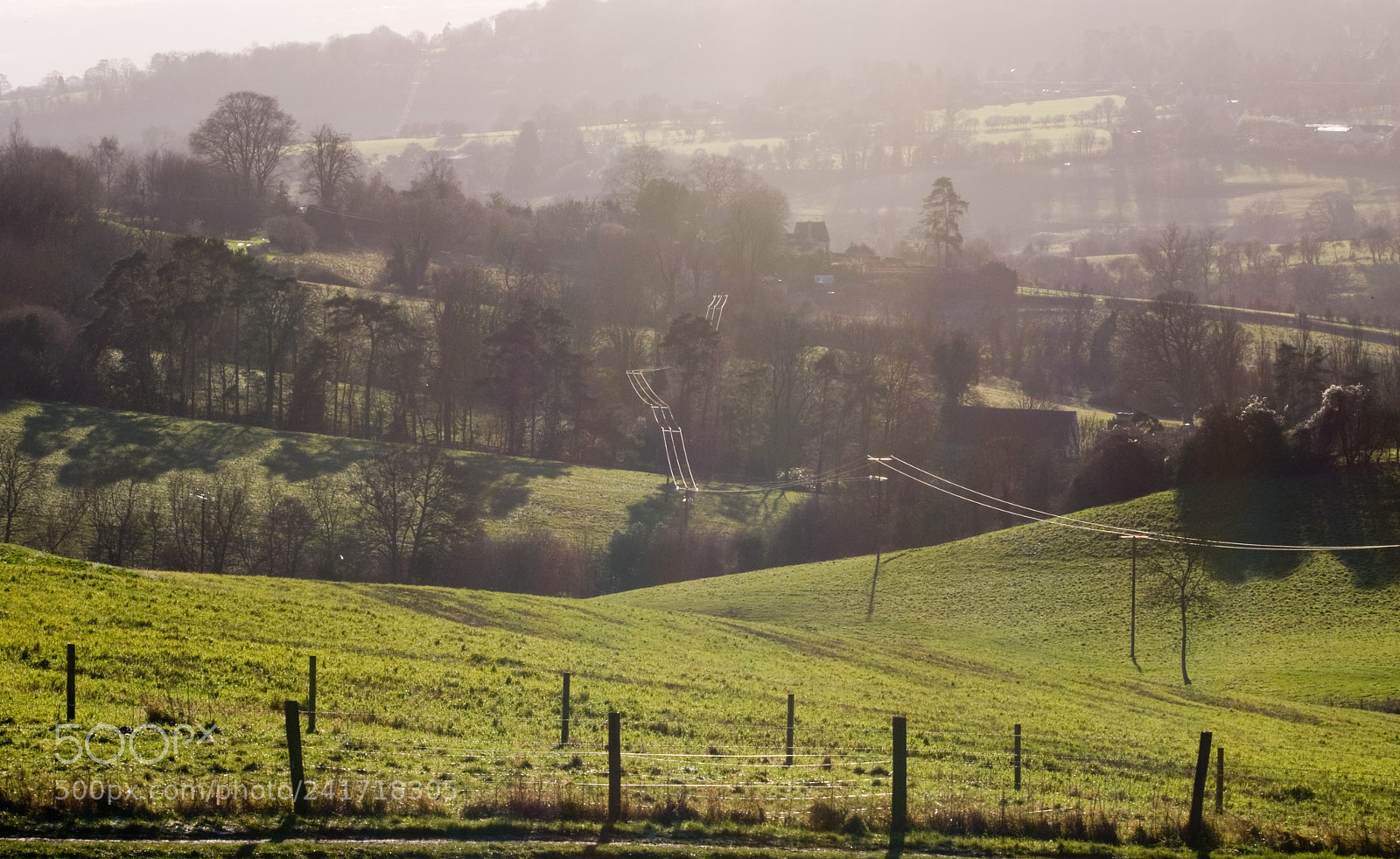 Nikon D300 sample photo. Painswick photography