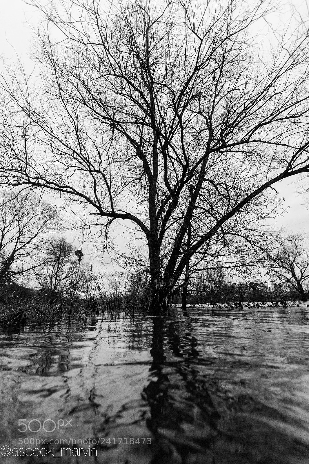 Canon EOS 60D sample photo. Lenne hochwasser lenne flood photography