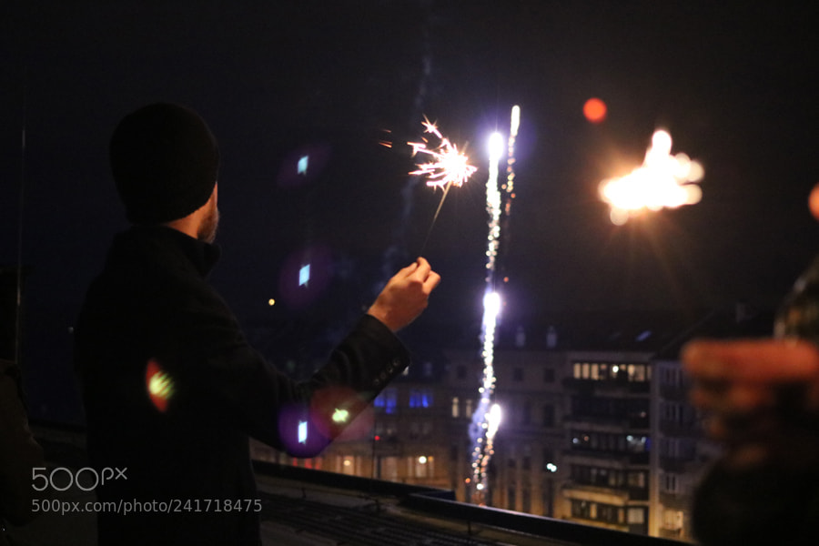 Canon EOS 750D (EOS Rebel T6i / EOS Kiss X8i) sample photo. Sylvester photography