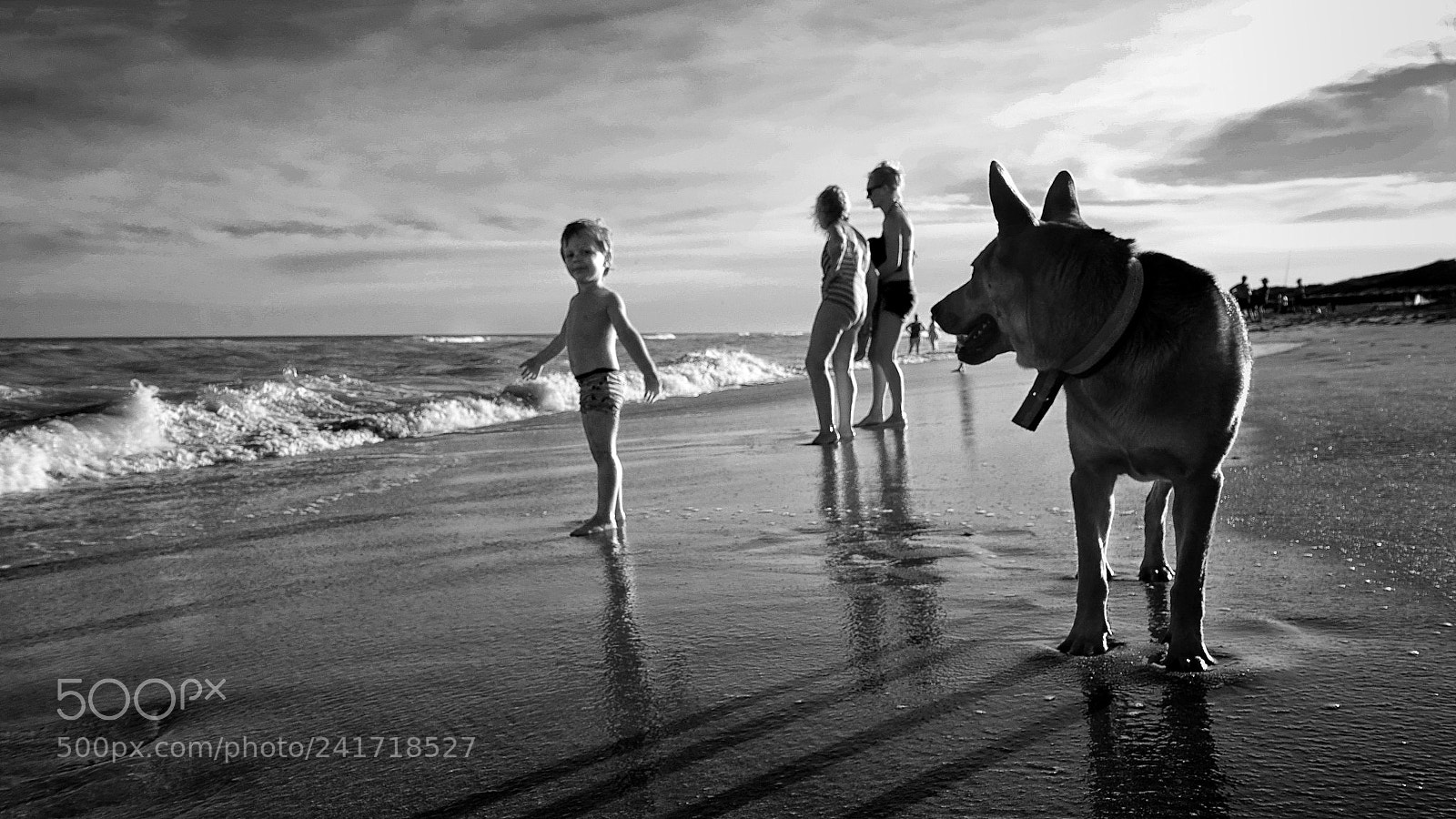 Sony Cyber-shot DSC-RX100 III sample photo. Nin o perro mar photography