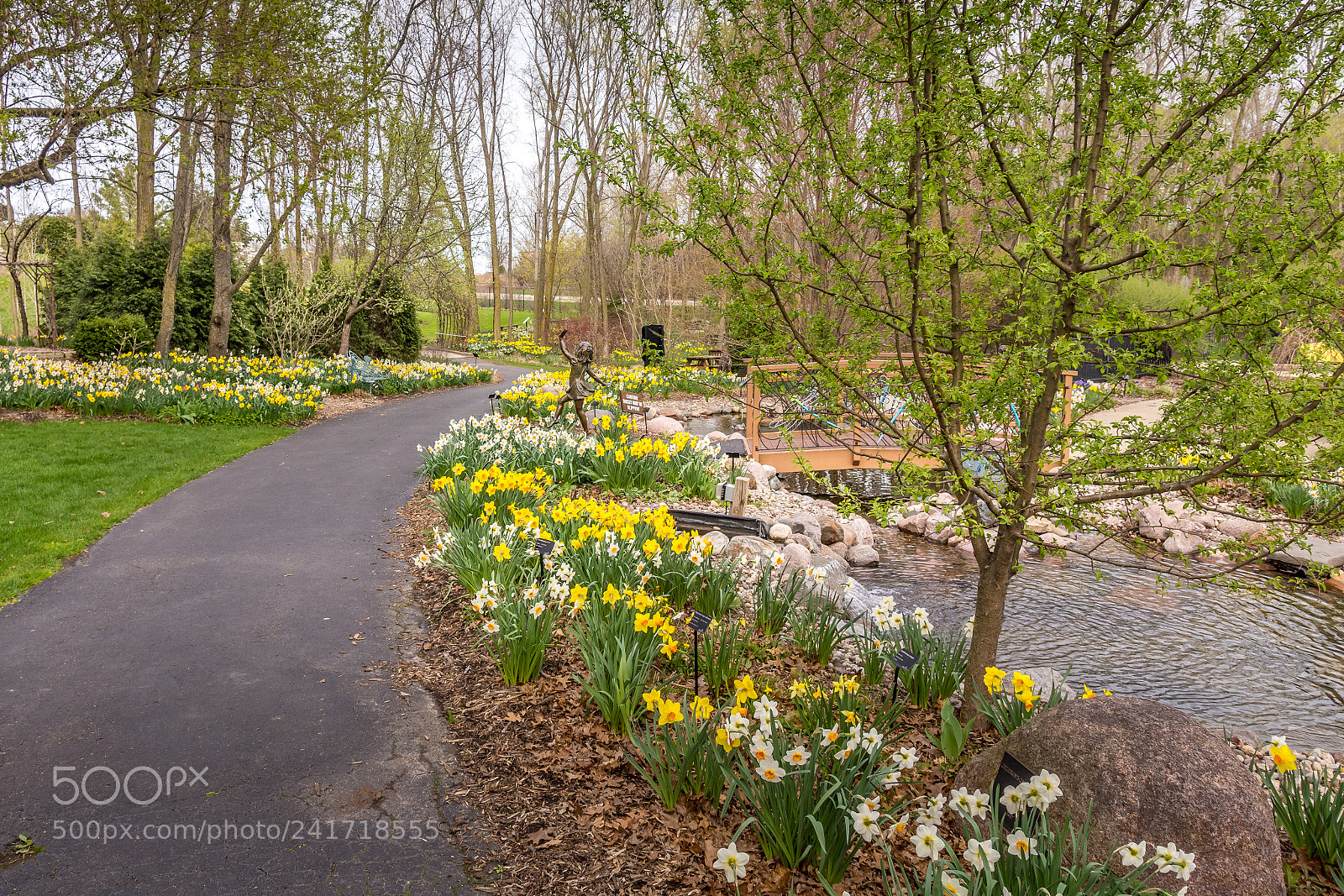Nikon D7200 sample photo. Botanical garden photography
