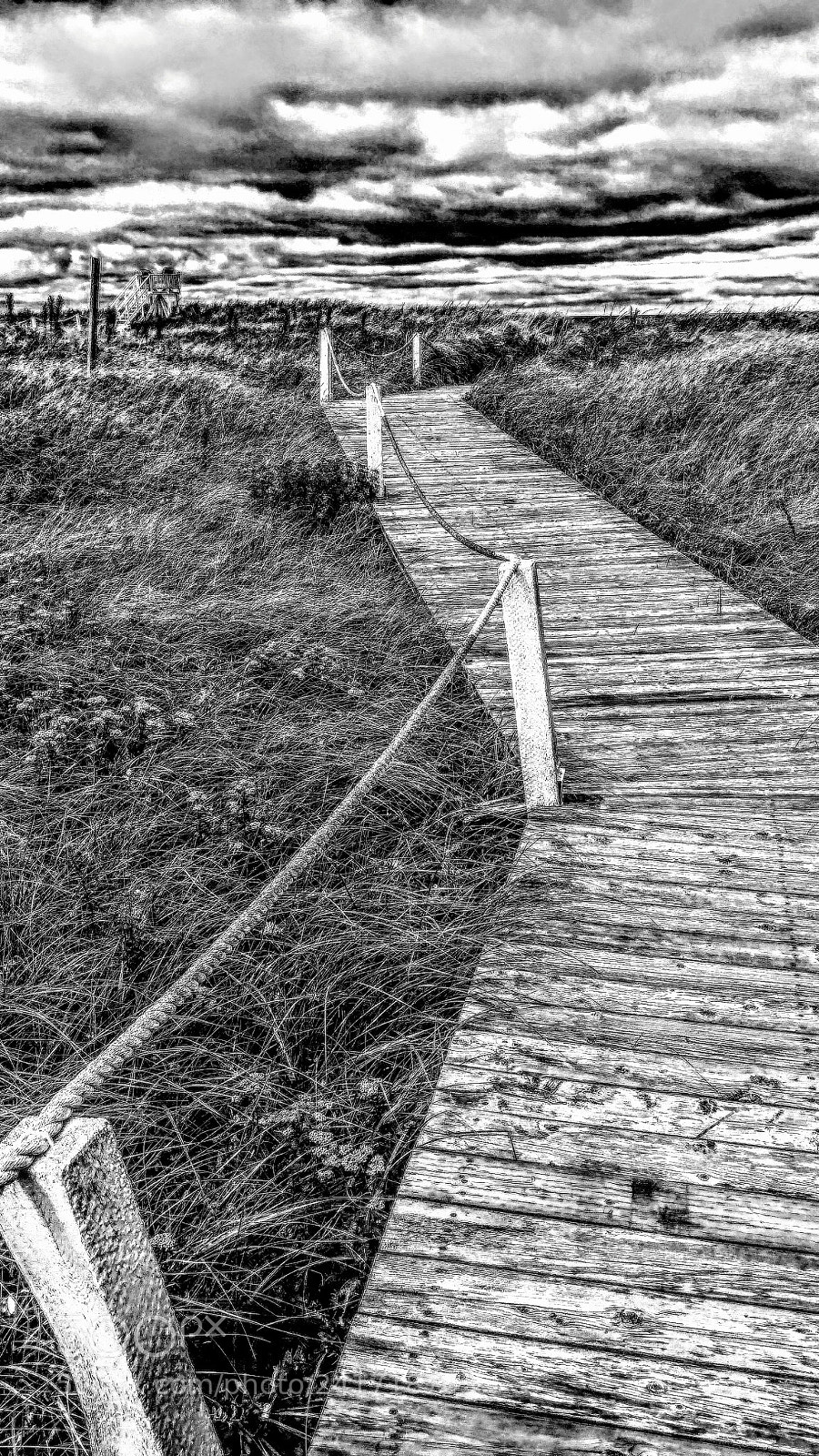 LG G6 sample photo. Boardwalk on the dunes photography