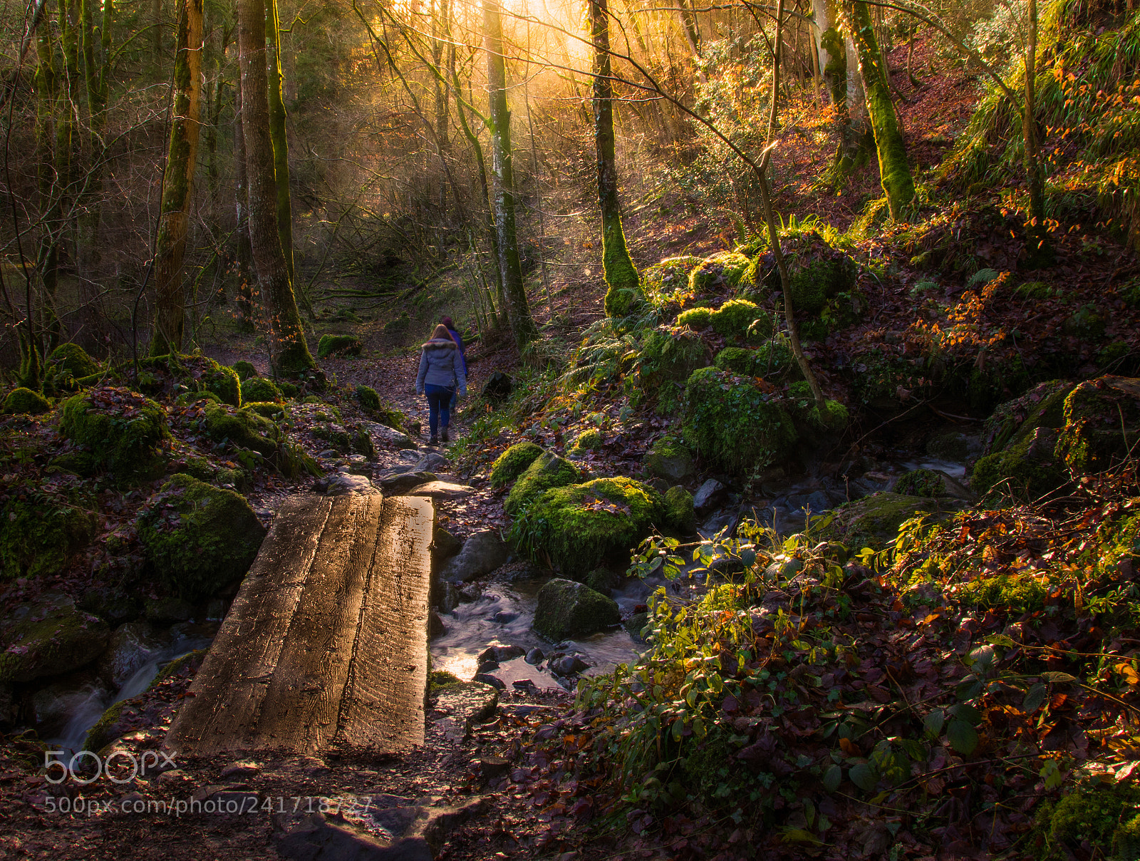 Pentax K-3 sample photo. Allen banks in the photography
