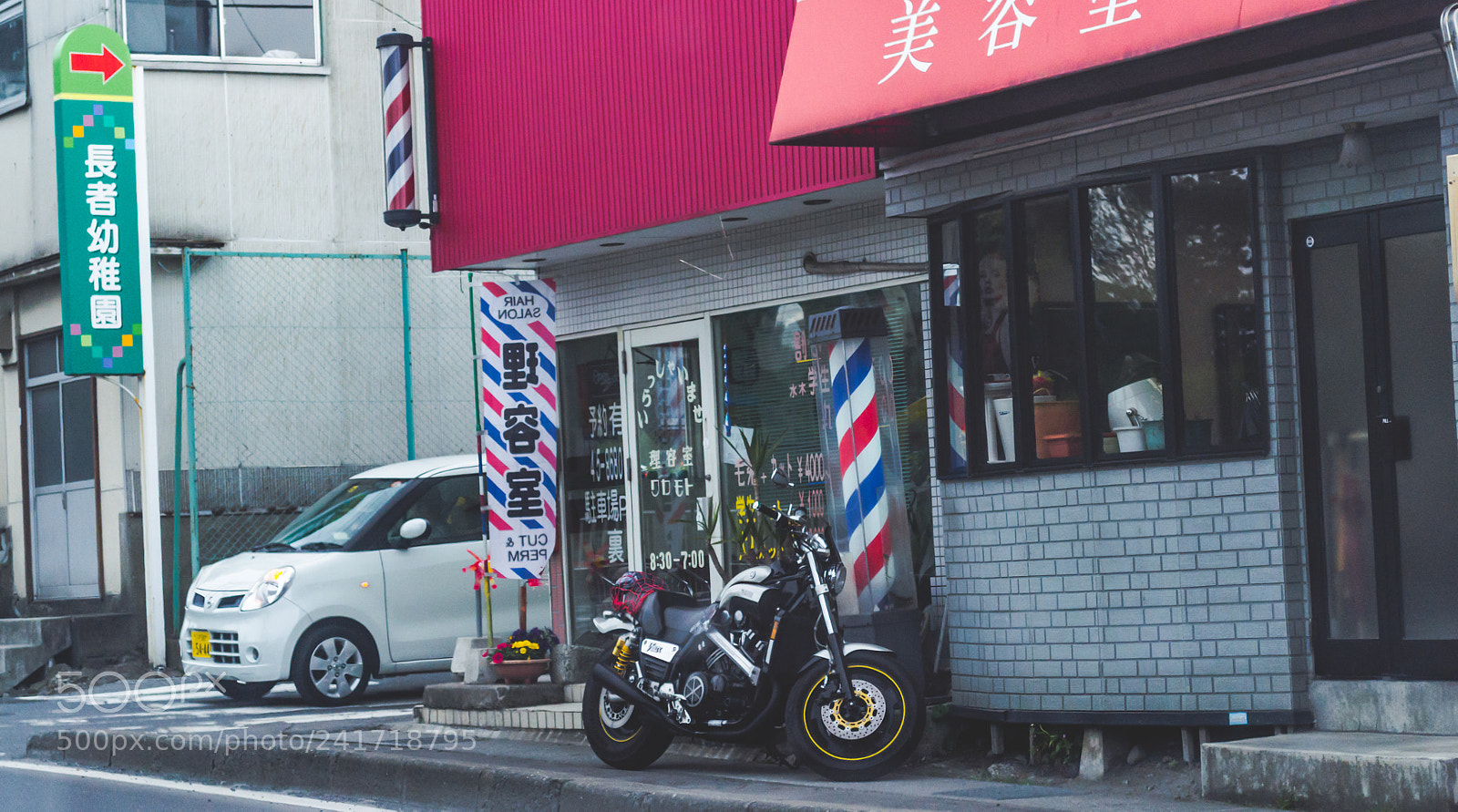 Nikon D3100 sample photo. A trim photography